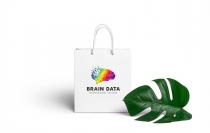 Brain Data Logo Screenshot 2