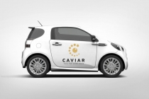 Caviar C Letter Logo Screenshot 3