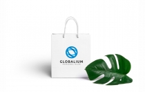 Global Vision Logo Screenshot 2