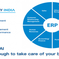Tally India ERP eOffice CRM HRM Finance And Sales