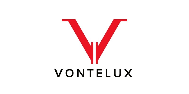 Letter V Logo