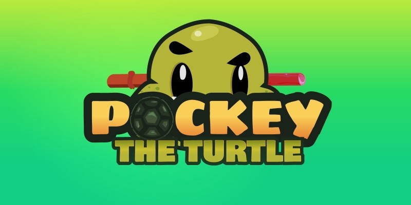 Pockey The Turtle 2D Game Character Sprites