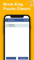 Brick King - Android Source Code Screenshot 4