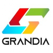 Letter G Grandia Logo Screenshot 2