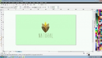 Natural Logo Screenshot 1