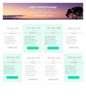 Flat Hosting Cart - WHMCS Order Form Template Screenshot 7