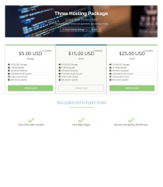 Modern Hosting Cart - WHMCS Order Form Template Screenshot 4