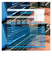 Modern Hosting Cart - WHMCS Order Form Template Screenshot 11