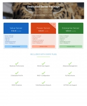 Panther Hosting Cart - WHMCS Order Form Template Screenshot 9
