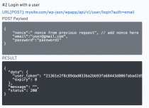 WP JSON API Plugin for WordPress REST API Screenshot 4