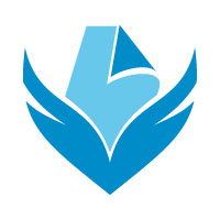 Paper fly Printing Company Logo Design