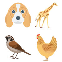  Animal Faces Vector Illustration icons