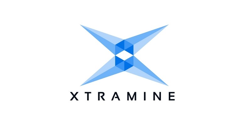 Letter X Logo