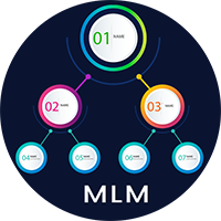 MLM Binary System