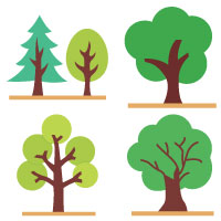 4 Style Of Nature Plant And Park Icons