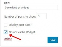 Do Not Cache Selected Widget WordPress Plugin Screenshot 1