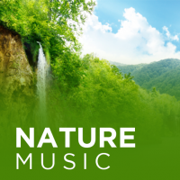 Nature Sounds - Android Source Code