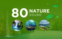 Nature Sounds - Android Source Code Screenshot 1