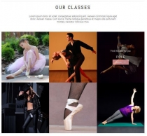 The Dance School - WordPress Theme Screenshot 1