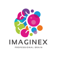 Brain Imagine Logo