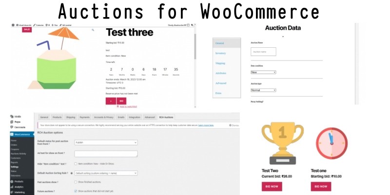 Auctions For WooCommerce