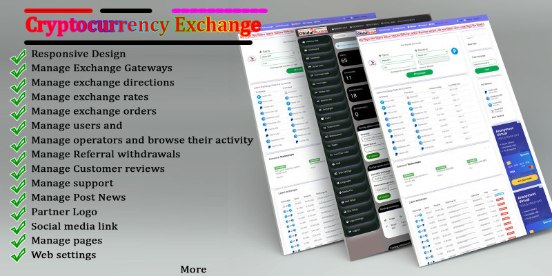 Currency Changer Website E-currency Exchanger 
