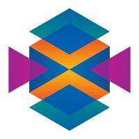 Bold Hexagon Colorful Logo