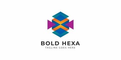 Bold Hexagon Colorful Logo