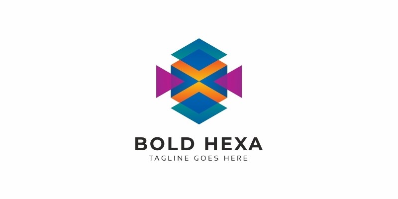 Bold Hexagon Colorful Logo