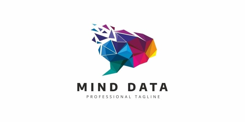 Brain Data Colorful Logo