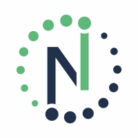 N Letter Logo