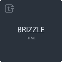 Brizzle - Landing Page Template