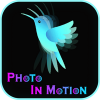 Photo In Motion Android App Source Code