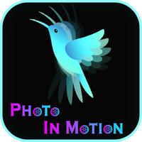 Photo In Motion Android App Source Code