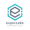 Expert Cube Logo