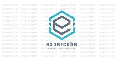 Expert Cube Logo