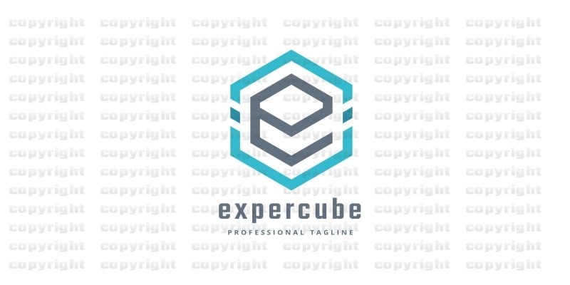 Expert Cube Logo