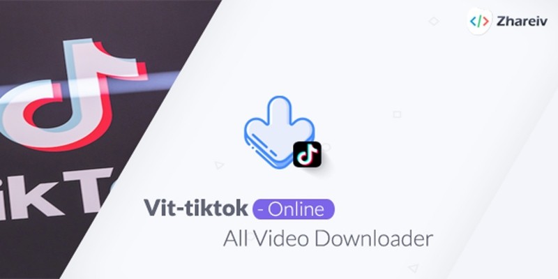 vit-TikToki - TikTok Video Downloader
