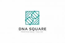 DNA Square Logo Screenshot 2