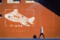 Plane Logo Screenshot 1
