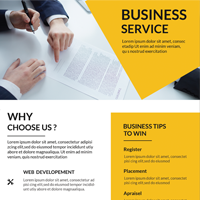 Clean Corporate Flyer Fully Editable  Pack Of 2