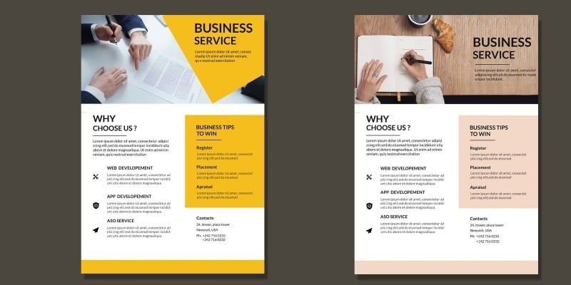 Clean Corporate Flyer Fully Editable  Pack Of 2