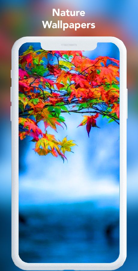 HD Wallpaper App For Android With Admob Ads by AndroiderKing | Codester HD Wallpaper App For Android With Admob Ads by AndroiderKing | Codester