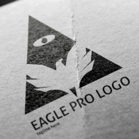 Eagle Pro Logo