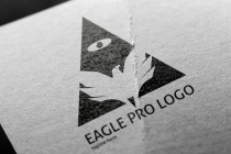 Eagle Pro Logo Screenshot 2