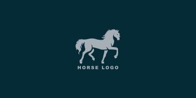 Horse Grooming Logo