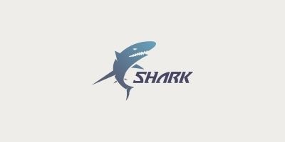 Shark Vector  Logo Design 