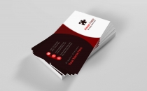 10 More Professional Business Card Design Bundle Screenshot 73