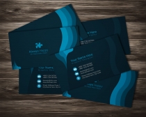 10 More Professional Business Card Design Bundle Screenshot 79
