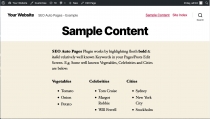 SEO Auto Pages - WordPress Plugin Screenshot 1